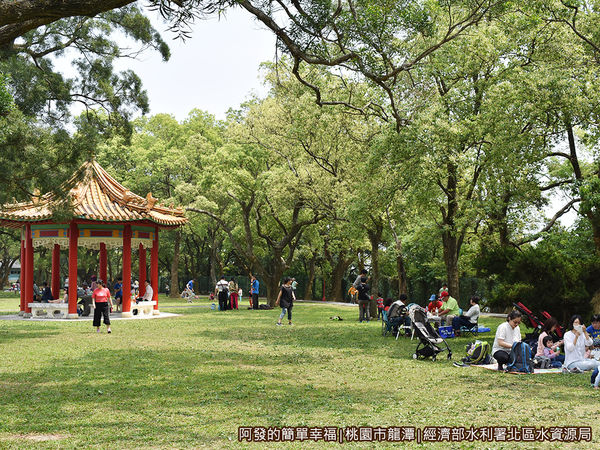 北區水資源局07-數處綠意盎然的小草皮