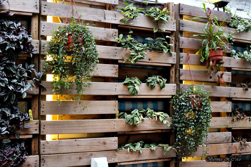 IMG_9906.JPG IMG_9906.JPG