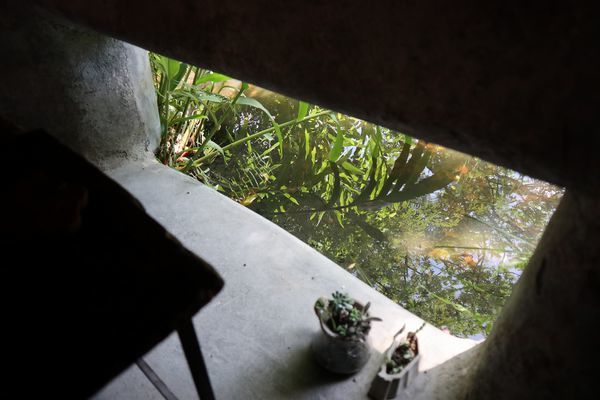 67705168_2817060771656876_843601168289497088_o.jpg 67705168_2817060771656876_843601168289497088_o.jpg