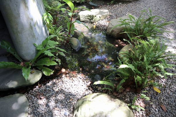 67915197_2817060648323555_1867871694958362624_o.jpg 67915197_2817060648323555_1867871694958362624_o.jpg