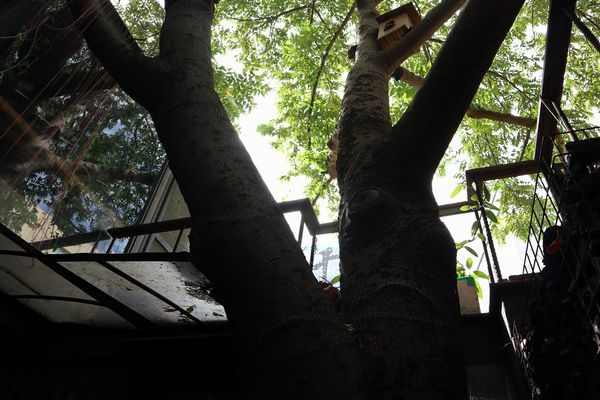 68549851_2817062548323365_3938509057953890304_o.jpg 68549851_2817062548323365_3938509057953890304_o.jpg