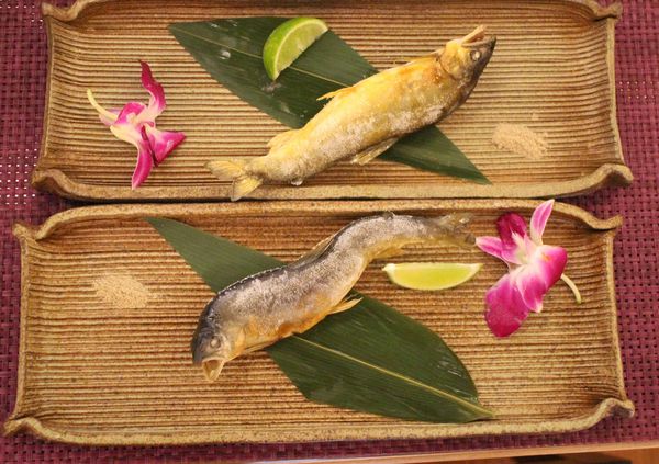 1060101-幸福讚雪月套餐-26