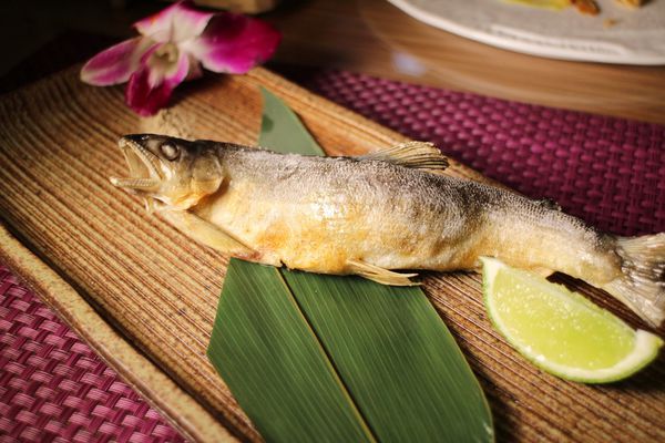 1060101-幸福讚雪月套餐-27