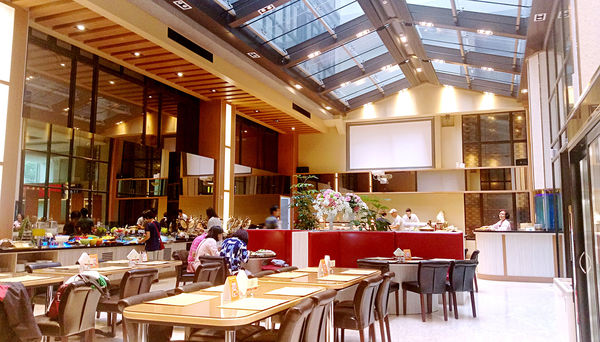 IMAG7065_mh1495857931215