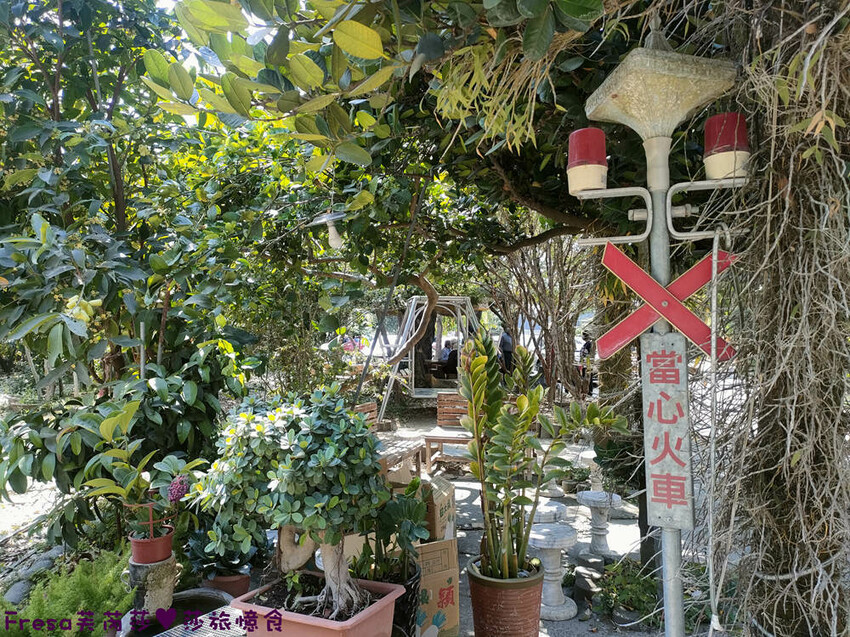 高雄聚餐【綠野山莊土雞城】大社觀音山步道附近ＣＰ值高土雞餐廳.招牌茶油雞＆菜脯雞湯推薦必點│附設停車場│活動宴席│大社美食 - Fresa芙芮莎♥莎旅憶食