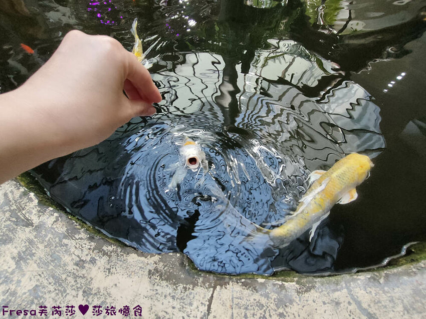 高雄聚餐【綠野山莊土雞城】大社觀音山步道附近ＣＰ值高土雞餐廳.招牌茶油雞＆菜脯雞湯推薦必點│附設停車場│活動宴席│大社美食 - Fresa芙芮莎♥莎旅憶食