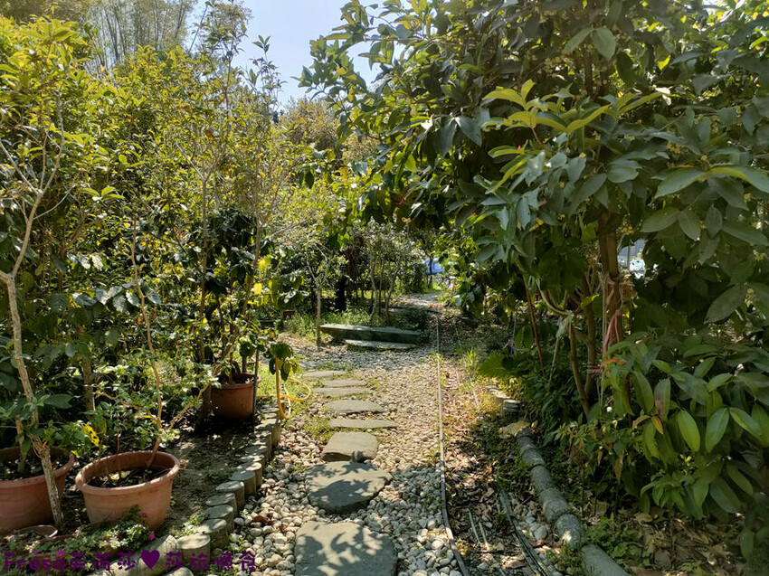 高雄聚餐【綠野山莊土雞城】大社觀音山步道附近ＣＰ值高土雞餐廳.招牌茶油雞＆菜脯雞湯推薦必點│附設停車場│活動宴席│大社美食 - Fresa芙芮莎♥莎旅憶食