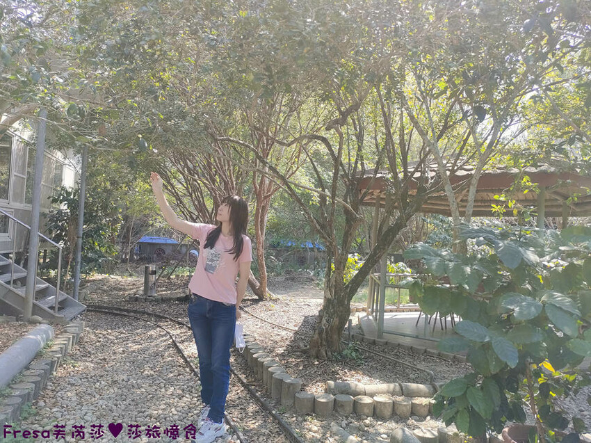 高雄聚餐【綠野山莊土雞城】大社觀音山步道附近ＣＰ值高土雞餐廳.招牌茶油雞＆菜脯雞湯推薦必點│附設停車場│活動宴席│大社美食 - Fresa芙芮莎♥莎旅憶食