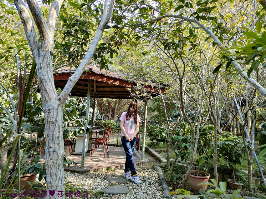 高雄聚餐【綠野山莊土雞城】大社觀音山步道附近ＣＰ值高土雞餐廳.招牌茶油雞＆菜脯雞湯推薦必點│附設停車場│活動宴席│大社美食 - Fresa芙芮莎♥莎旅憶食