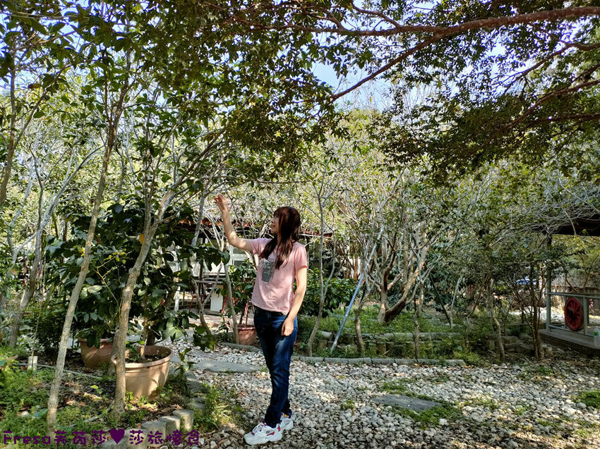 高雄聚餐【綠野山莊土雞城】大社觀音山步道附近ＣＰ值高土雞餐廳.招牌茶油雞＆菜脯雞湯推薦必點│附設停車場│活動宴席│大社美食 - Fresa芙芮莎♥莎旅憶食