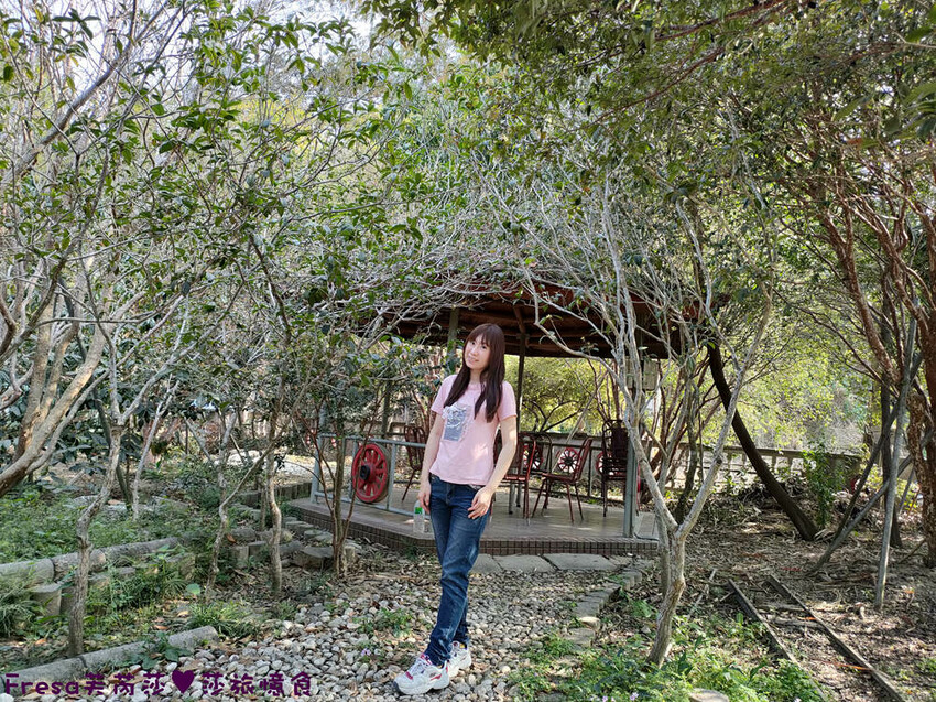 高雄聚餐【綠野山莊土雞城】大社觀音山步道附近ＣＰ值高土雞餐廳.招牌茶油雞＆菜脯雞湯推薦必點│附設停車場│活動宴席│大社美食 - Fresa芙芮莎♥莎旅憶食