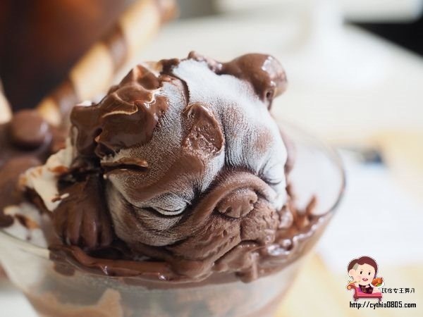 桃園中壢美食-星諾文創咖啡-超逼真的法鬥巧克力冰淇淋來了，怎麼可以吃狗狗~ @民宿女王芽月-美食.旅遊.全台趴趴走