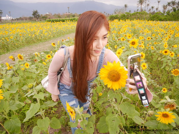 【花蓮旅食趣】全台唯一超特別天可汗蒙古包住宿！徜徉在大自然中的山海趣田園親子民宿，四月開始還有迷你馬喔~(內含花蓮好吃好玩店家懶人包!)OOPS驚奇咖啡/禾田野/佳興檸檬汁/邊境甜點/台開農場