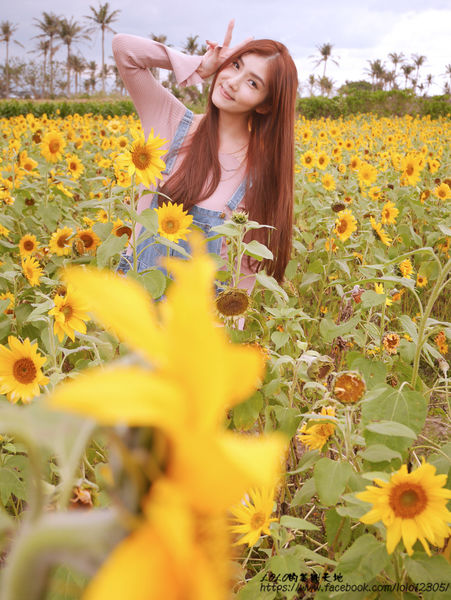 【花蓮旅食趣】全台唯一超特別天可汗蒙古包住宿！徜徉在大自然中的山海趣田園親子民宿，四月開始還有迷你馬喔~(內含花蓮好吃好玩店家懶人包!)OOPS驚奇咖啡/禾田野/佳興檸檬汁/邊境甜點/台開農場