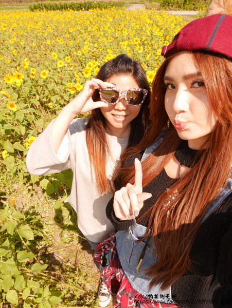 【花蓮旅食趣】全台唯一超特別天可汗蒙古包住宿！徜徉在大自然中的山海趣田園親子民宿，四月開始還有迷你馬喔~(內含花蓮好吃好玩店家懶人包!)OOPS驚奇咖啡/禾田野/佳興檸檬汁/邊境甜點/台開農場