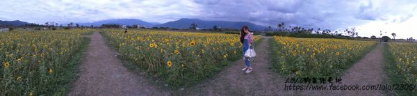 【花蓮旅食趣】全台唯一超特別天可汗蒙古包住宿！徜徉在大自然中的山海趣田園親子民宿，四月開始還有迷你馬喔~(內含花蓮好吃好玩店家懶人包!)OOPS驚奇咖啡/禾田野/佳興檸檬汁/邊境甜點/台開農場