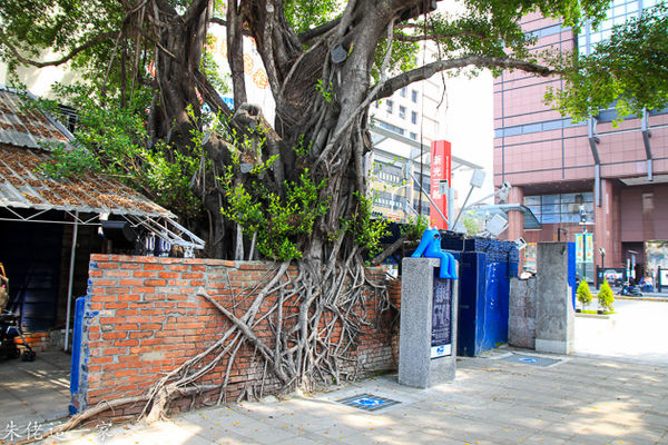 IMG_2007.jpg IMG_2007.jpg