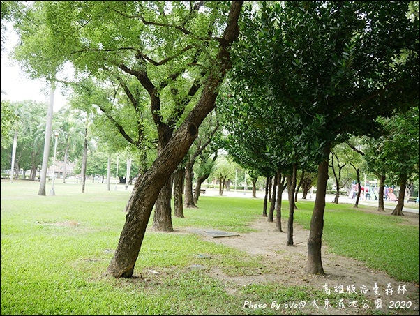 大東濕地公園-06.jpg 大東濕地公園-06.jpg