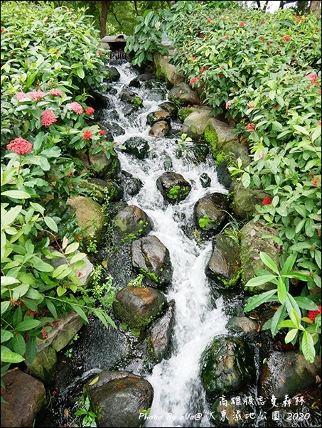 大東濕地公園-09.jpg 大東濕地公園-09.jpg