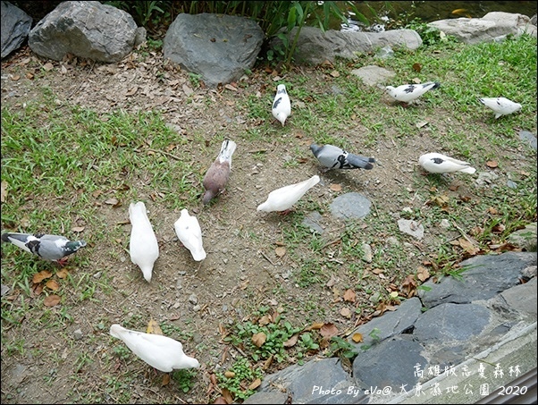 大東濕地公園-07.jpg 大東濕地公園-07.jpg