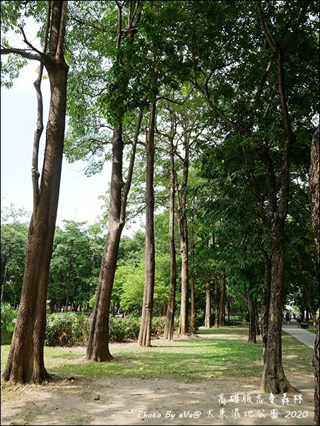 大東濕地公園-12.jpg 大東濕地公園-12.jpg