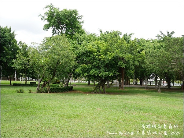 大東濕地公園-04.jpg 大東濕地公園-04.jpg