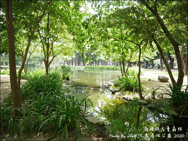 大東濕地公園-13.jpg 大東濕地公園-13.jpg