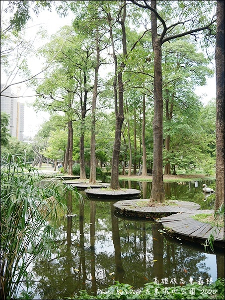 大東濕地公園-11.jpg 大東濕地公園-11.jpg