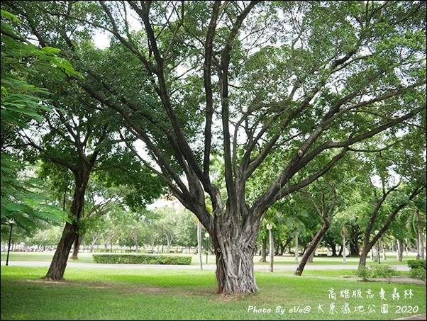 大東濕地公園-05.jpg 大東濕地公園-05.jpg