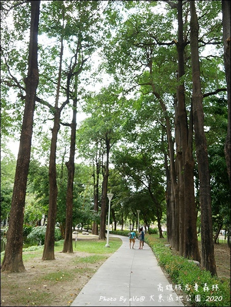 大東濕地公園-16.jpg 大東濕地公園-16.jpg