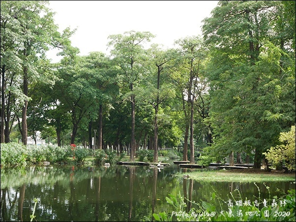 大東濕地公園-17.jpg 大東濕地公園-17.jpg