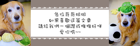 栢金 BIRKING：【板橋新埔站|栢金 BIRKING-Waffle.Brunch.Bistro】新埔捷運站3分鐘的高CP值早午餐選擇 1.6CM超厚厚切培根超好吃 (愛評體驗