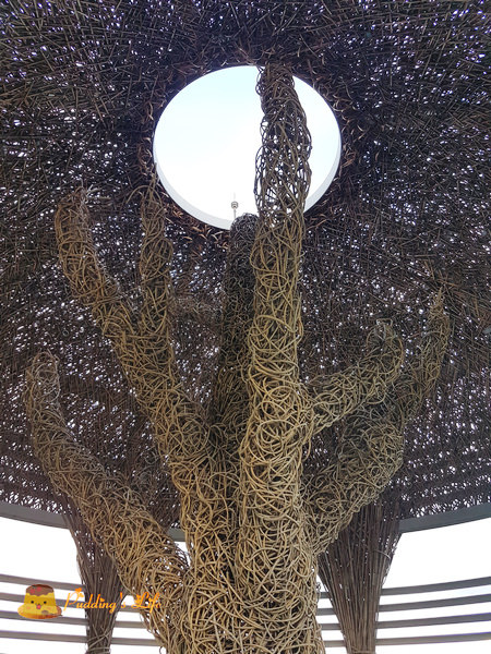 nEO_IMG_20160625_170742