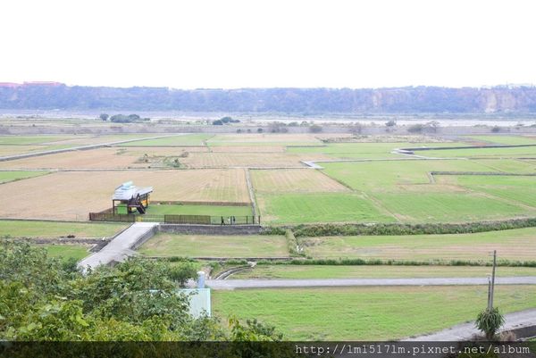 外埔忘憂谷 外埔忘憂谷