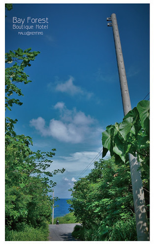 海灣森林精品民宿-44