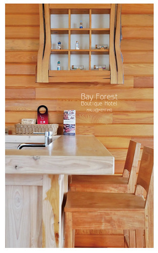 海灣森林精品民宿-4