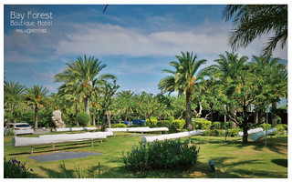 海灣森林精品民宿-38