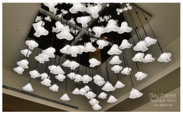 海灣森林精品民宿-29