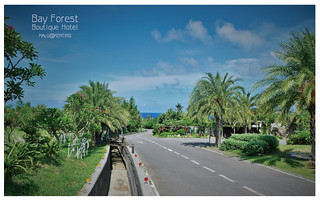 海灣森林精品民宿-37