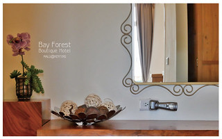 海灣森林精品民宿-8