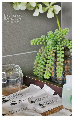 海灣森林精品民宿-13