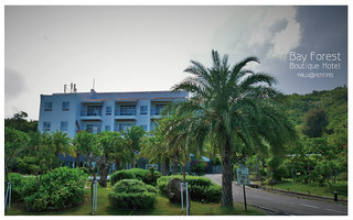 海灣森林精品民宿-39