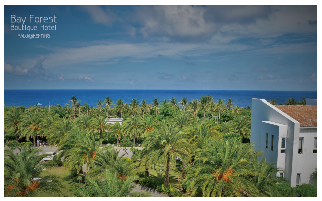 海灣森林精品民宿-46