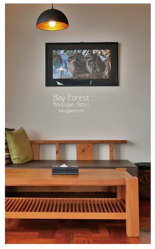 海灣森林精品民宿-5