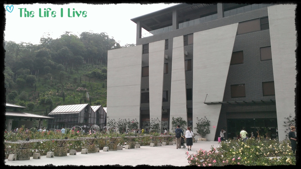 雅聞七里香玫瑰森林 23.jpg