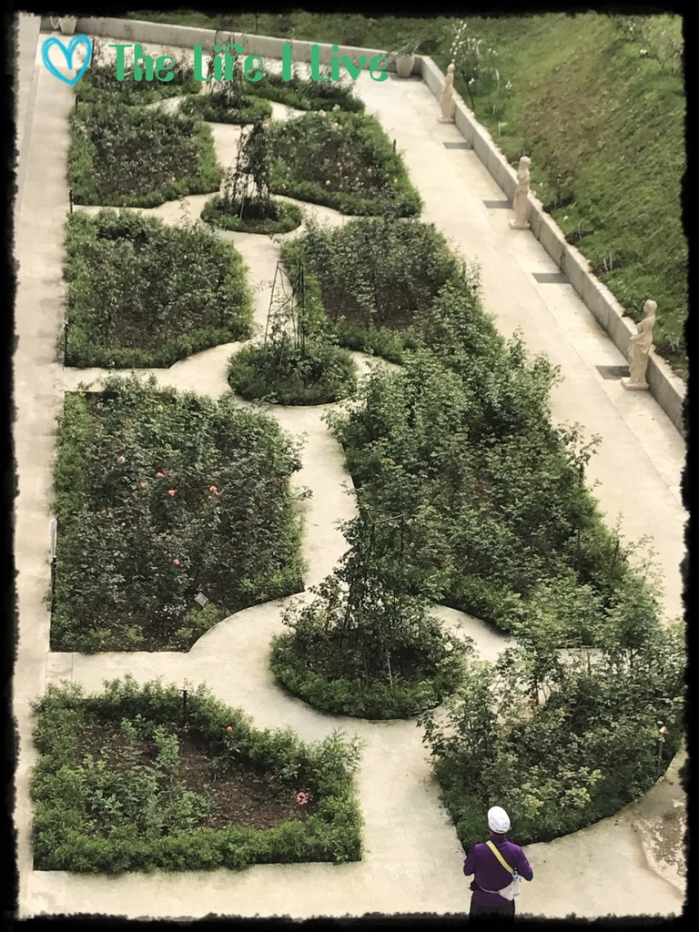 雅聞七里香玫瑰森林 49.jpg