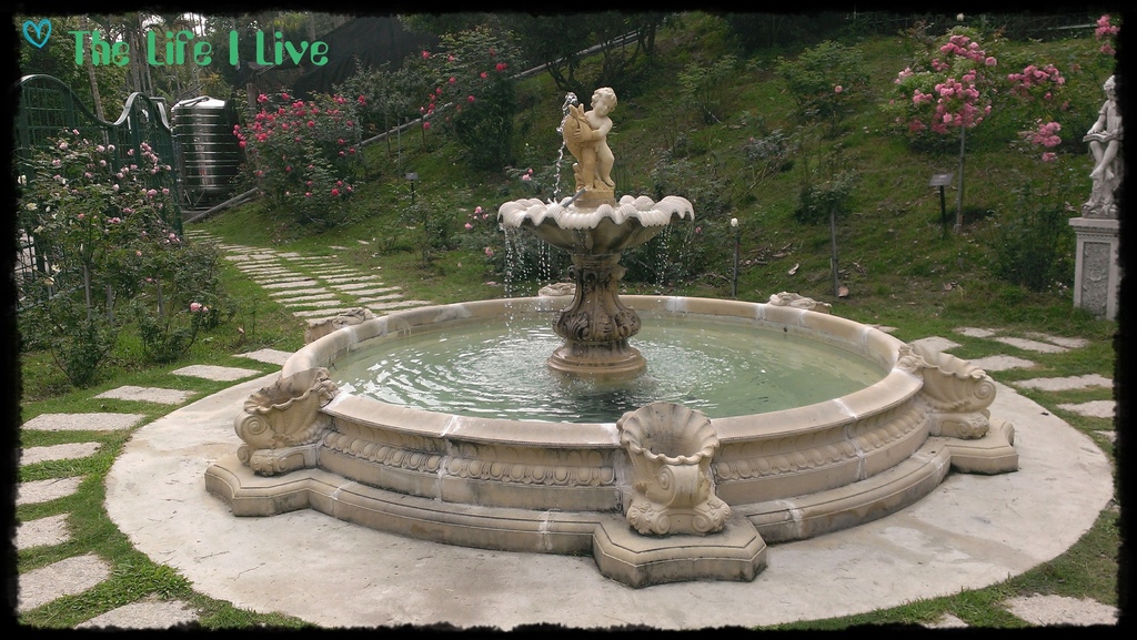 雅聞七里香玫瑰森林 13.jpg