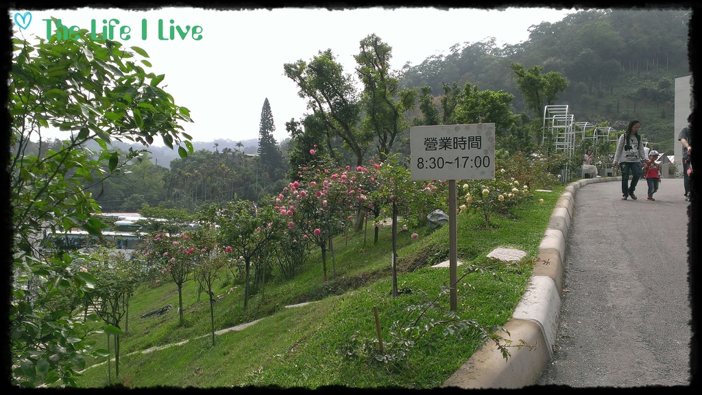 雅聞七里香玫瑰森林 0.jpg