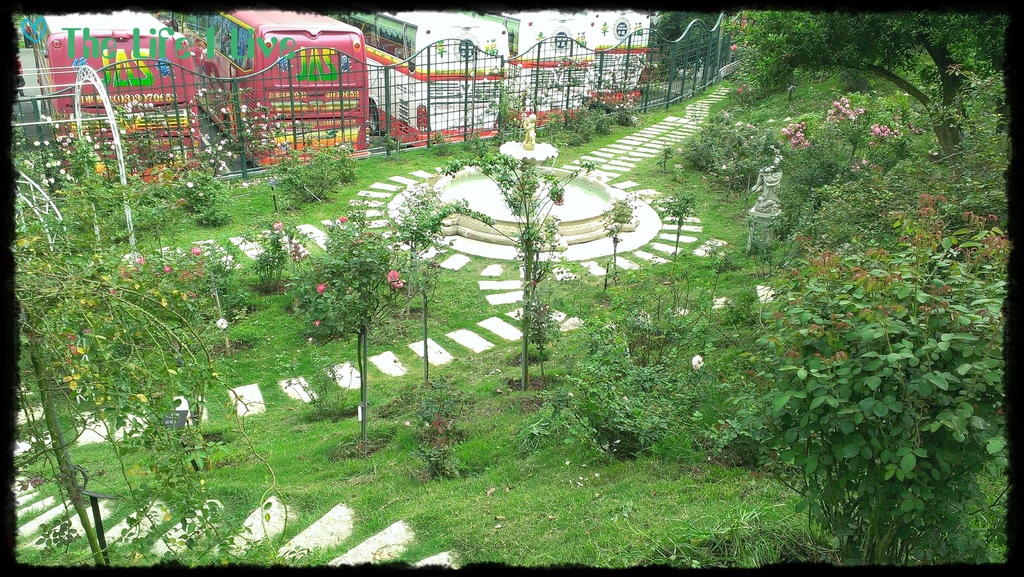 雅聞七里香玫瑰森林 17.jpg