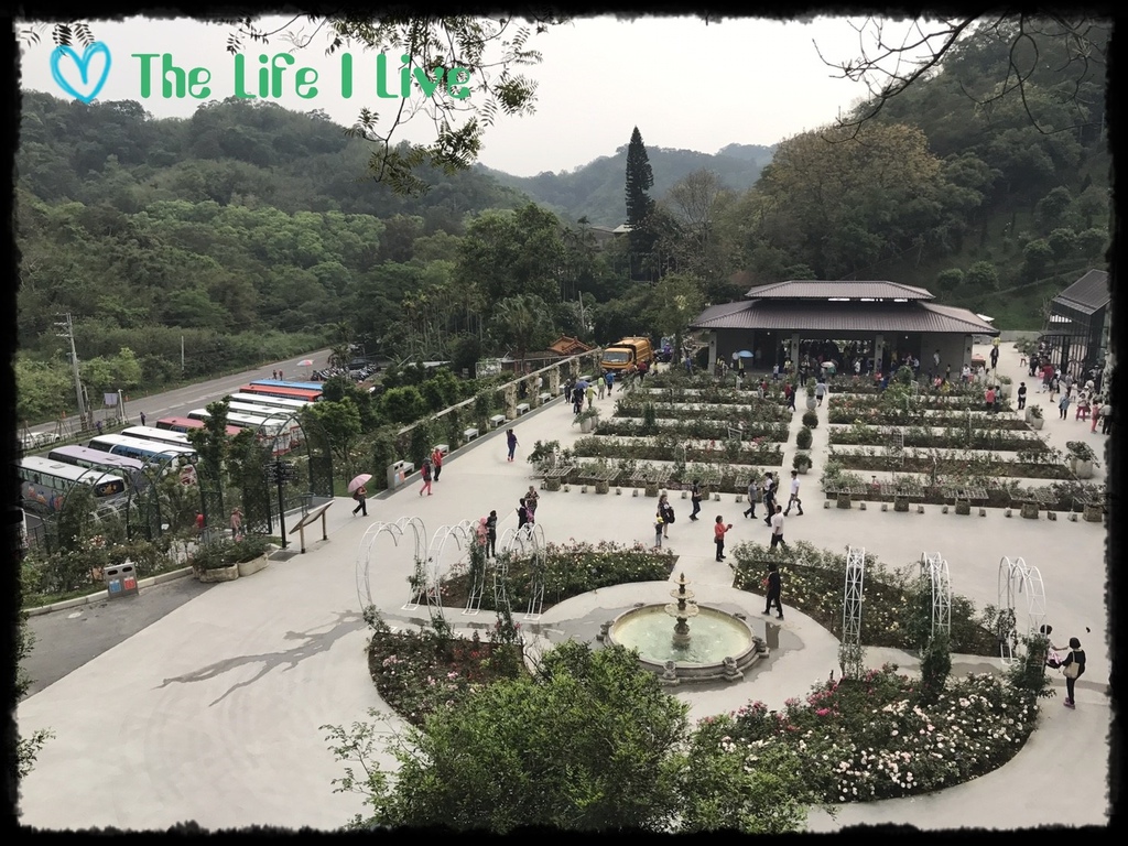 雅聞七里香玫瑰森林 46.jpg